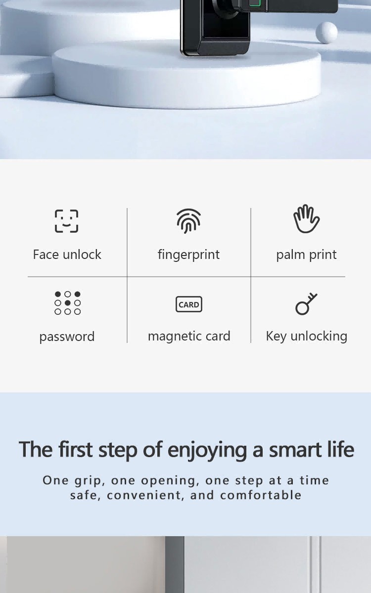 Digital Wifi House Door Lock Face Recognition Smart Door Lock With Camera