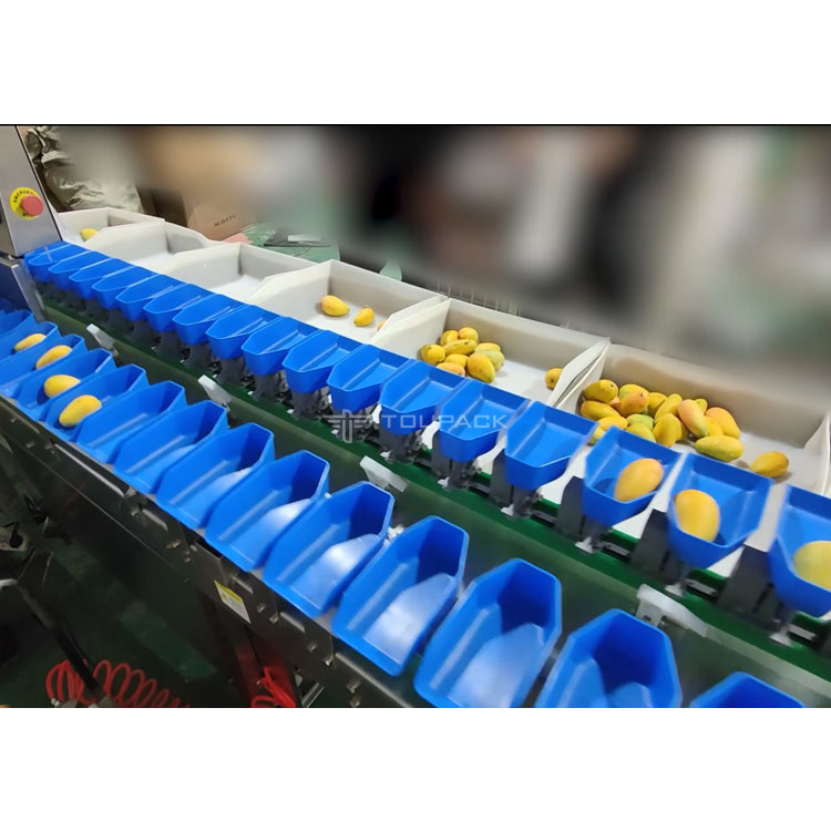Stainless Steel 304 Automatic Size Sorting Machine For Mango Fruit Vegetables Grading