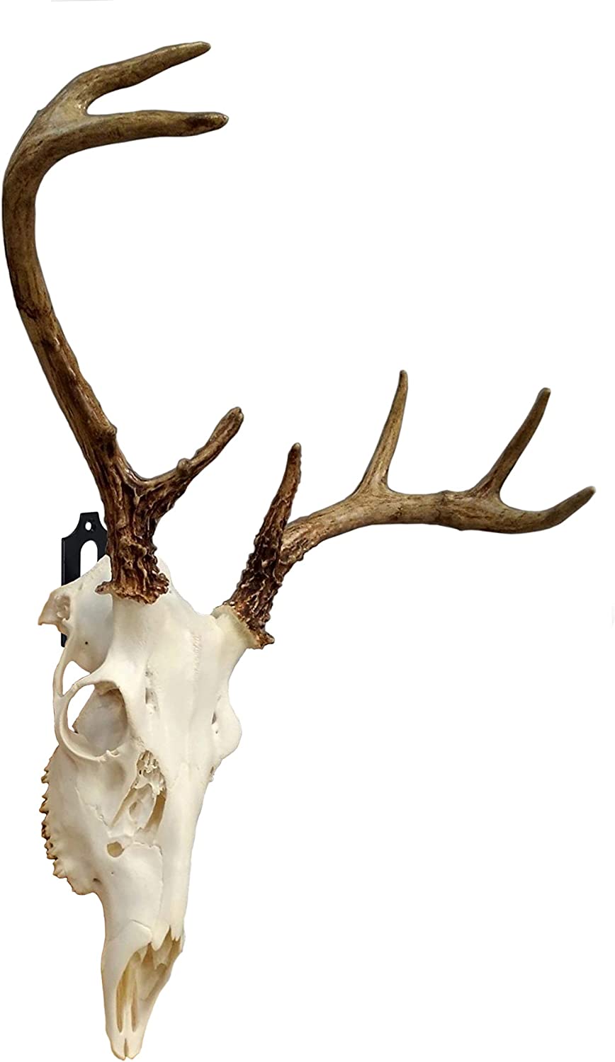 Customized Thickness European Mount Skull Hanger The Perfect Deer Head Mounting Solution