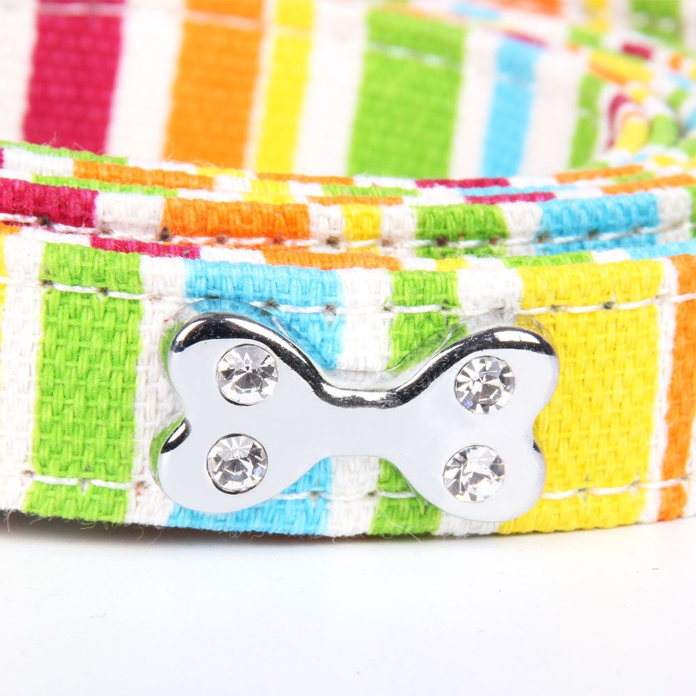  rainbow dog lead
