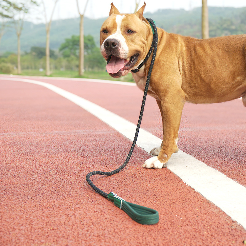 Quick Release Military Dog Lead ODM Tactical Retractable Dog Leash Nylon