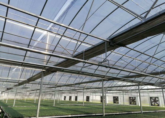 OEM PO PE Polyethylene Film Greenhouse Multi Span 4 Season Growing For Flower