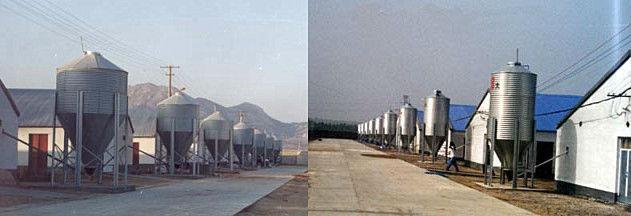 777m3 Small Grain Storage Silos , Bulk Material Cereal Storage Silo
