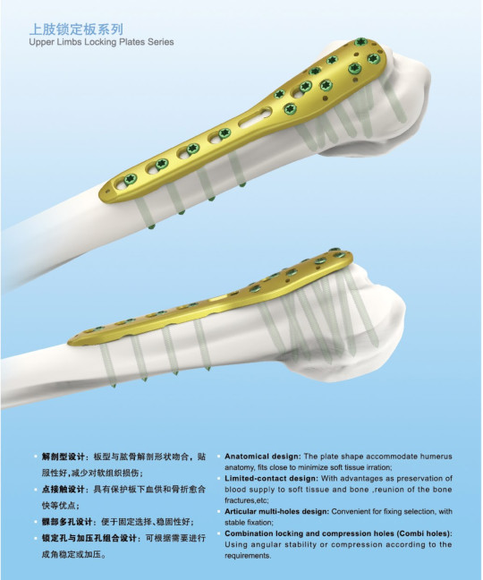 1.5mm Orthopedic Implants Plate And Screw