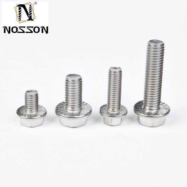 A2-70/A4-80/304/316 Grade Black Flange Bolt All Sizes with DIN Standard Stainless Steel