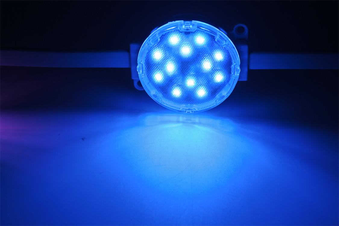 Waterproof Outdoor 50mm RGBW LED Point Light with IP67 Protection