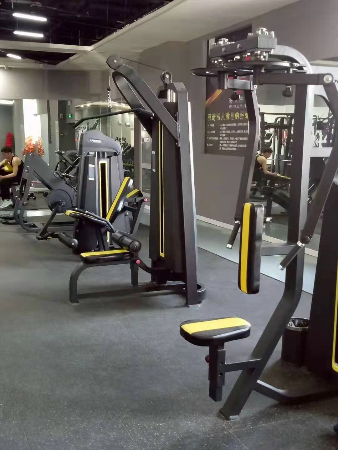 45 Degree Leg Press Hack Slide Gym Commercial Plate Loaded Calf Quads