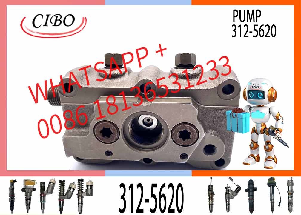 Diesel Fuel Injection Common Rail Pump 312-5620