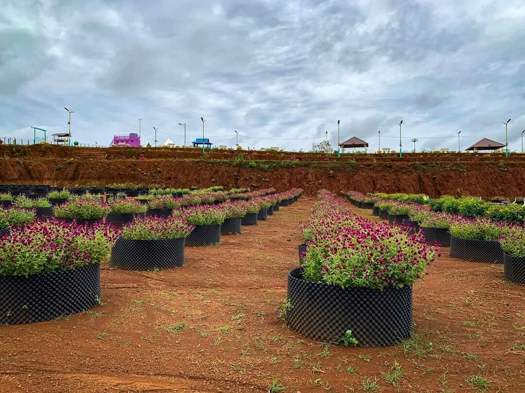Low Price High Quality Root Control PruningContainer Plant Pot from Gold Seller which do Transplant well.