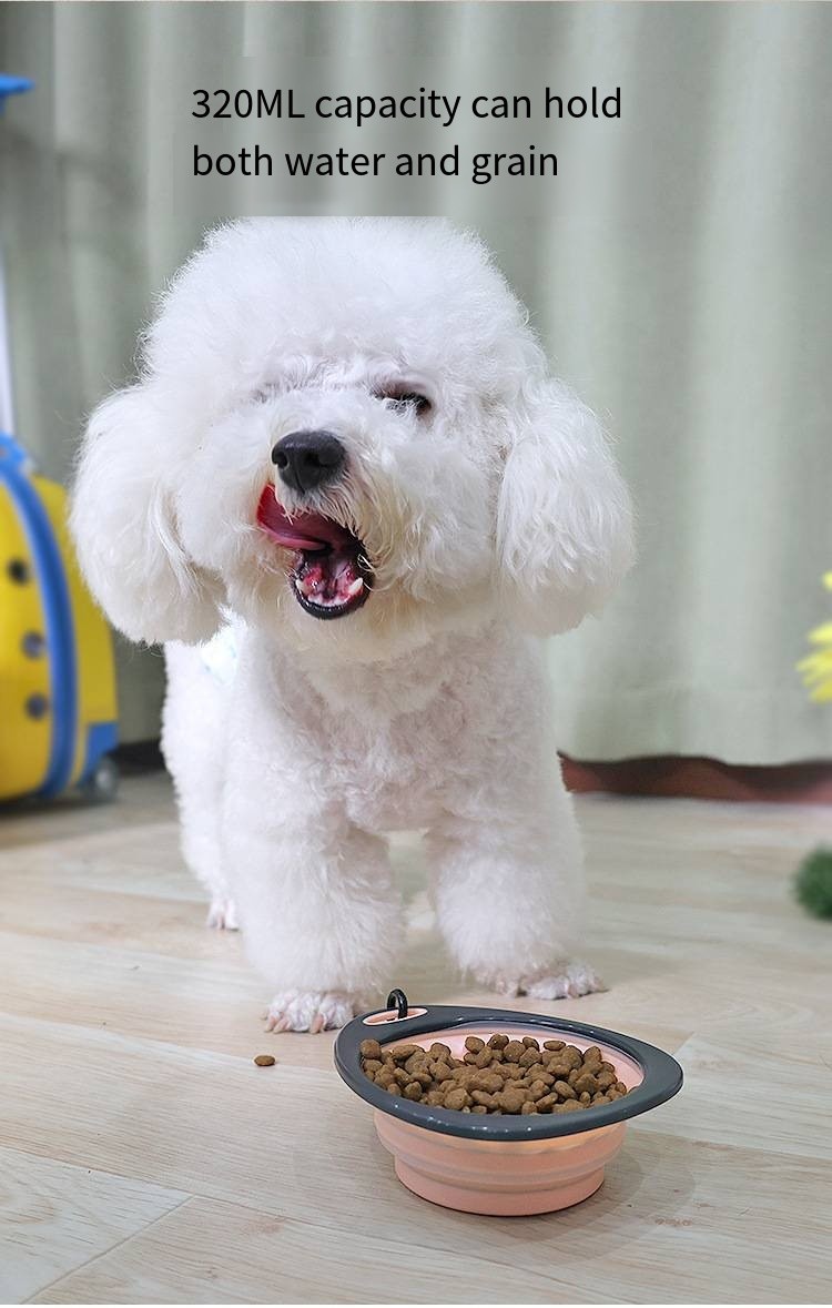Pet Collapsible Portable Adjustable Silicone Dog Bowl Slow Eating