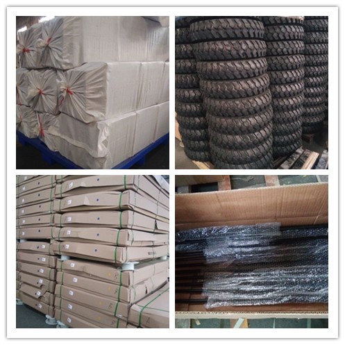 800W 3 Wheel Cargo Motorcycle