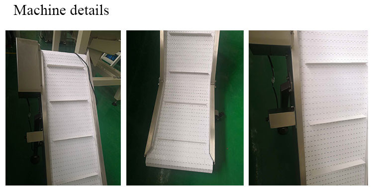 Finished Bag Small Incline 20m/Min Food Grade Conveyor