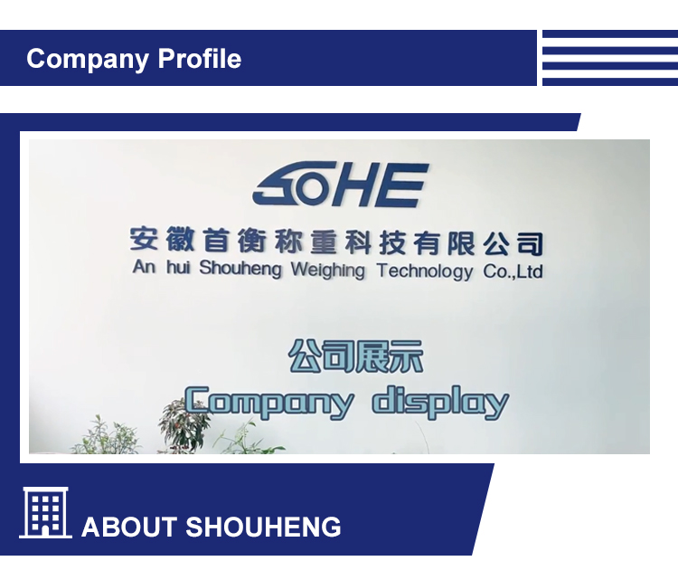 50-500KG High Precision Electronic Platform Scales with Single-Point Pressure Sensor