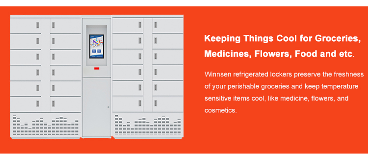 Smart Refrigerated Food Fresh Locker Frozen Storage Metal Self Service