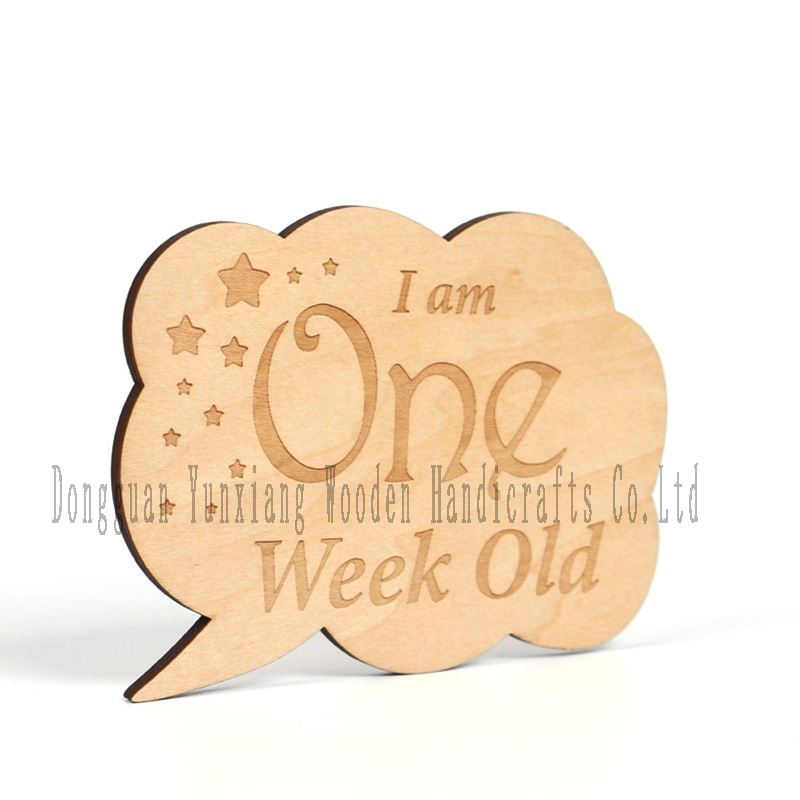 Baby Monthly Milestone Marker Discs, Classic Wooden Discs Photo Props for Baby Announcement and Milestones