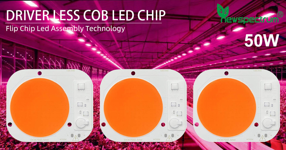 20W 5000LM Cob Flip Chip Led 30W 50W For Spotlights Grow Lights Led Cob Chip