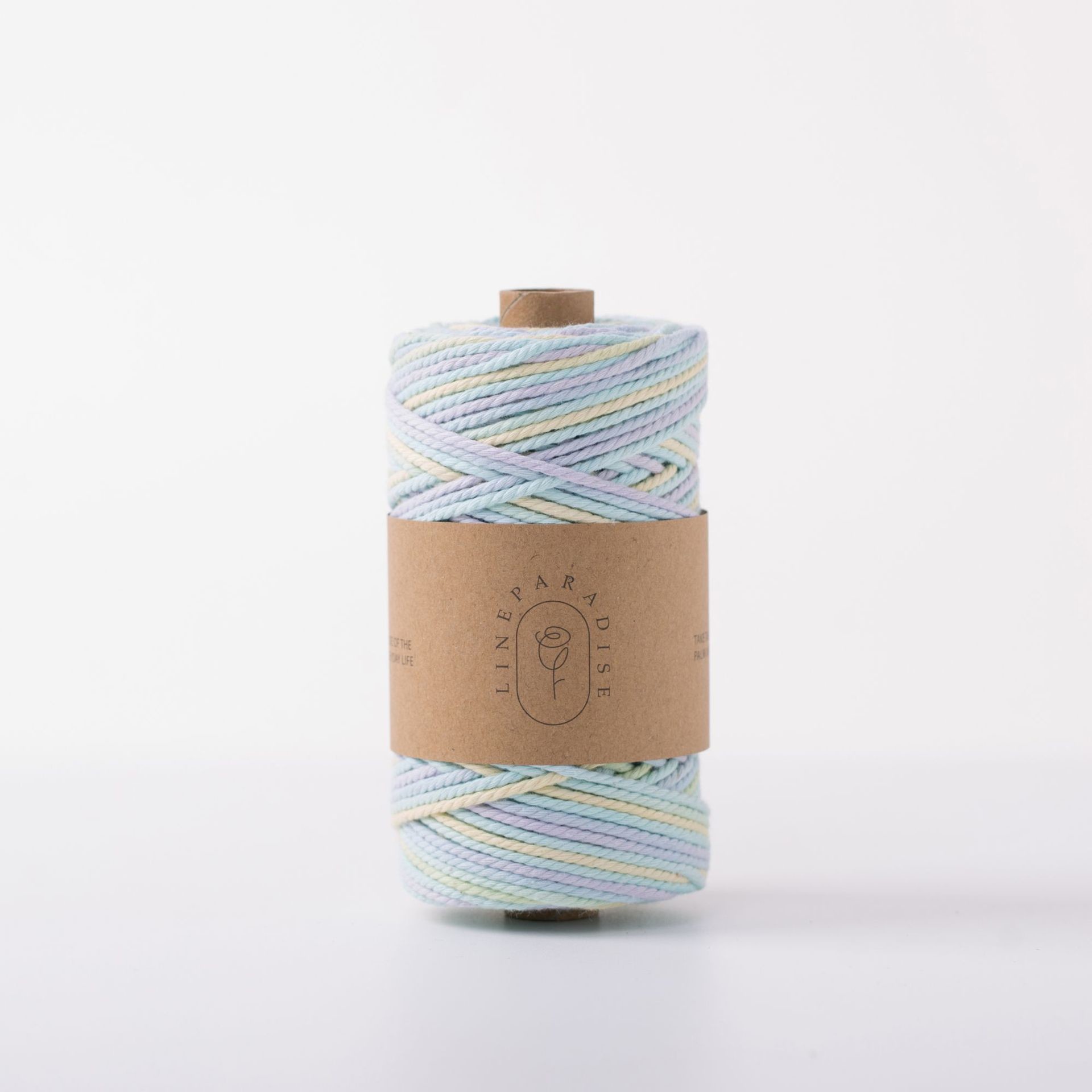 ISO9001 Solid Braid Cotton Rope Colorful 3mm Twisted Macrame Cord