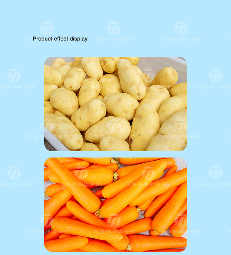 1500KG/H Root Vegetable Washing And Peeling Machine For Restaurant