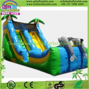 China strong colored inflatable slide,pvc promotion giant inflatable slide for sale on sale