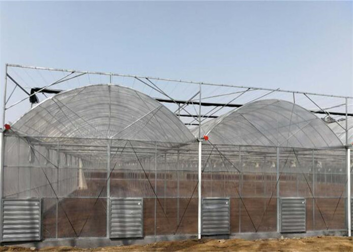 Large Size Reinforced Plastic Sheeting Greenhouse With Hydroponics System