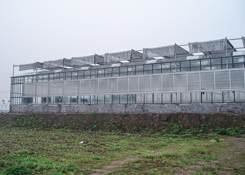 Transparent, Easy-Assemble Galvanized VENLO Greenhouses For Efficient High-Value Agriculture