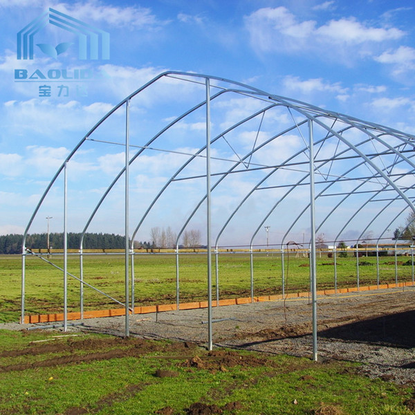Philippines Prefabricated Kit single-span Strawberry Greenhouse Tunnel Plastic Greenhouse