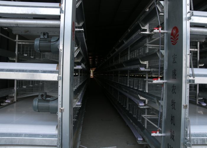 High Efficiency Chicken Farm Water System Easy Maintain 15-20 Years Lifespan