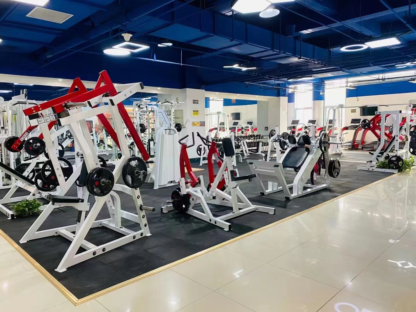 Unisex Gym Fitness Equipment Multi Smith Machine Commercial Home Use