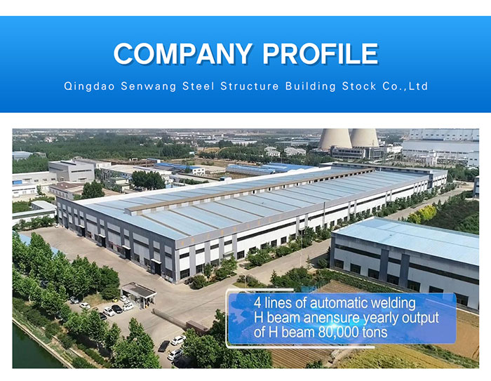 Metal Frame Workshop Metal Building Modular Design Prefabricated Steel Structure Warehouse
