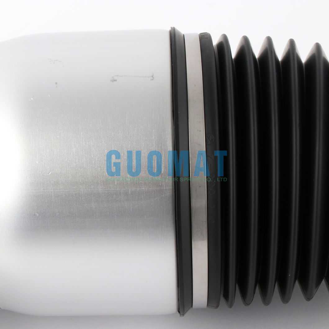 OE 7p6601019K Rear Left Suspension Air Spring Strut for VW Touareg II