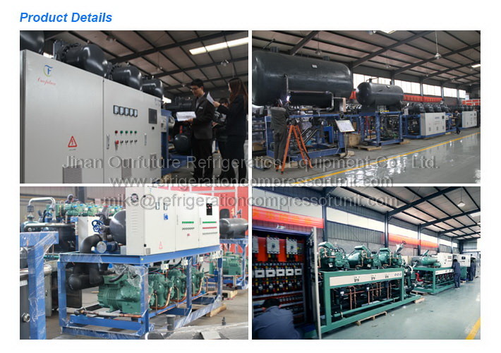 R404a Hanbell Parallel Screw Compressor Racks For Frozen Food Storage