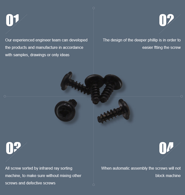 Truss Head Self Tapping Screws for Black Zinc Cross Countersunk Head Screws