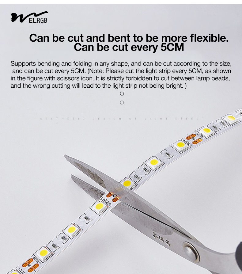 Residential and Truck Lighting Solution 12V/24V LED Light Strip with High Brightness