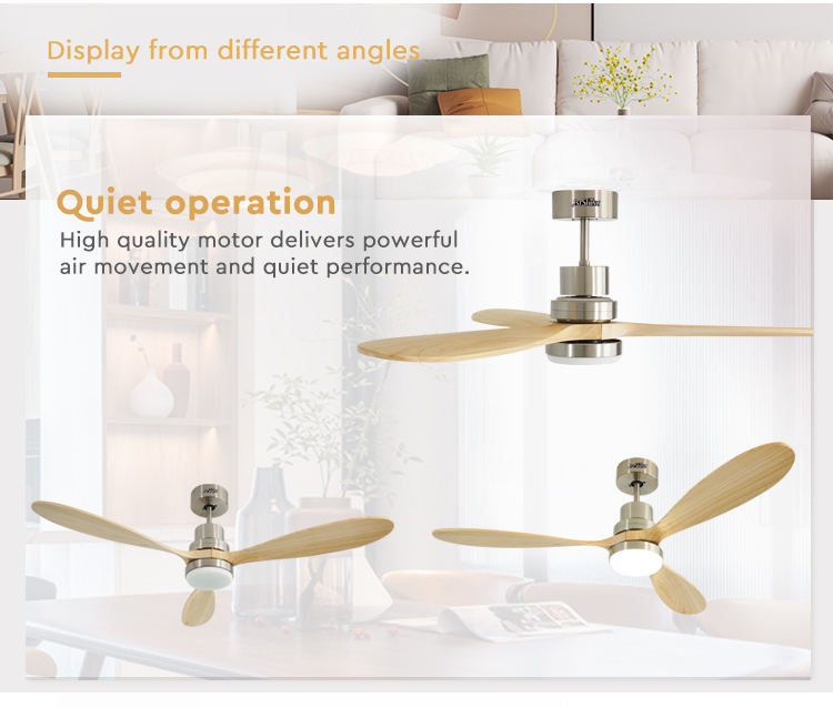 ceiling fan
