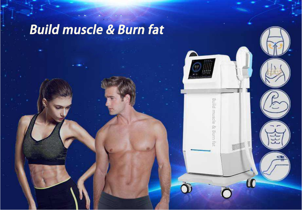 300W - 5000W Body Sculpt Machine ， Body Sculpting Equipment 3 - 200HZ