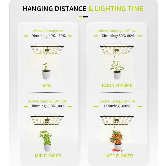 Indoor House Plants Low Light 640W 277 Volt High PPF Grow Light