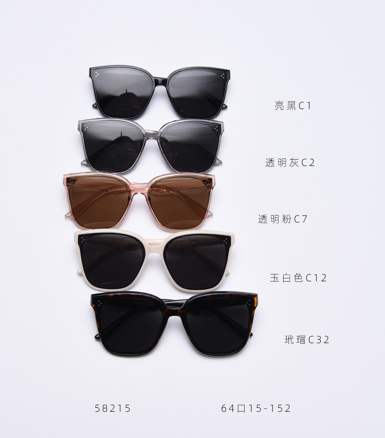 Women Retro Big Frame Square TR90 Sunglasses Trendy Polarized Men