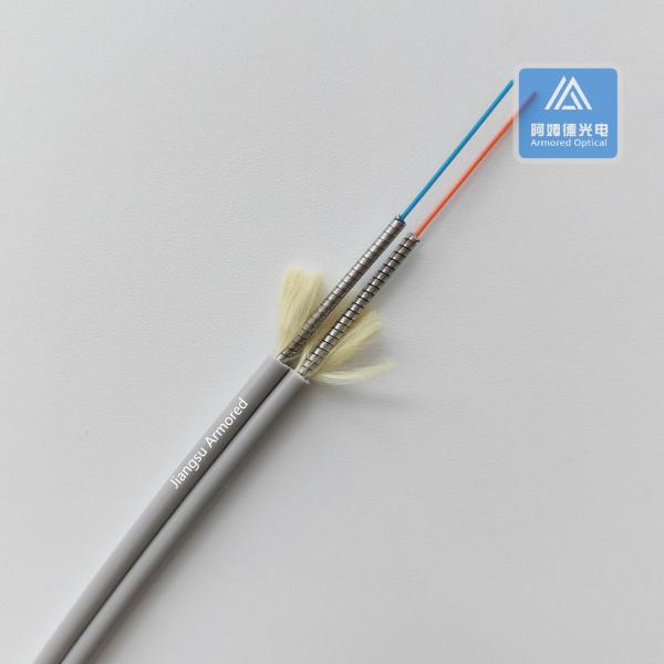 Duplex Om1 Fiber Cable Armored Ofc Cable 3.0mm X2pcs Grey PVC