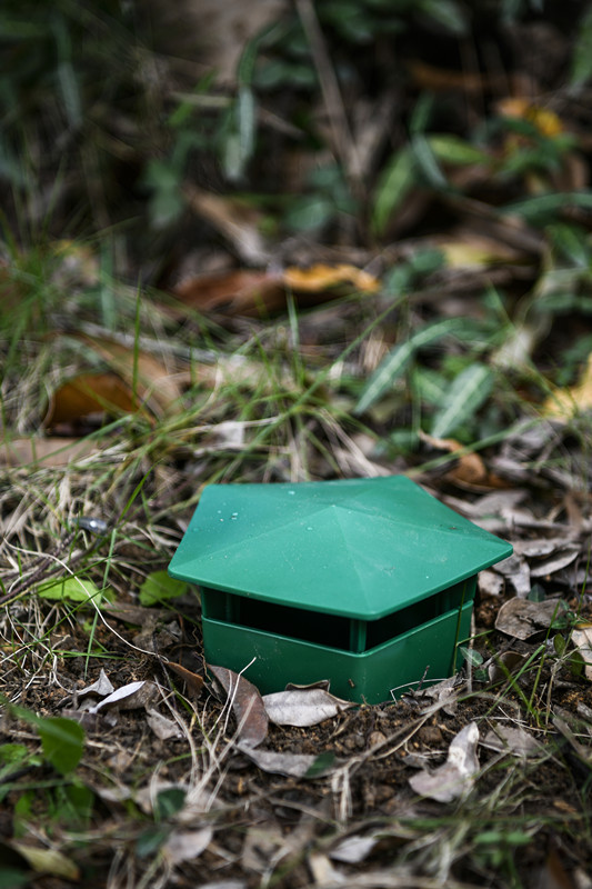 Long-Lasting Plastic Snail Catcher for Garden Ground Pest Control 480 Hours Used