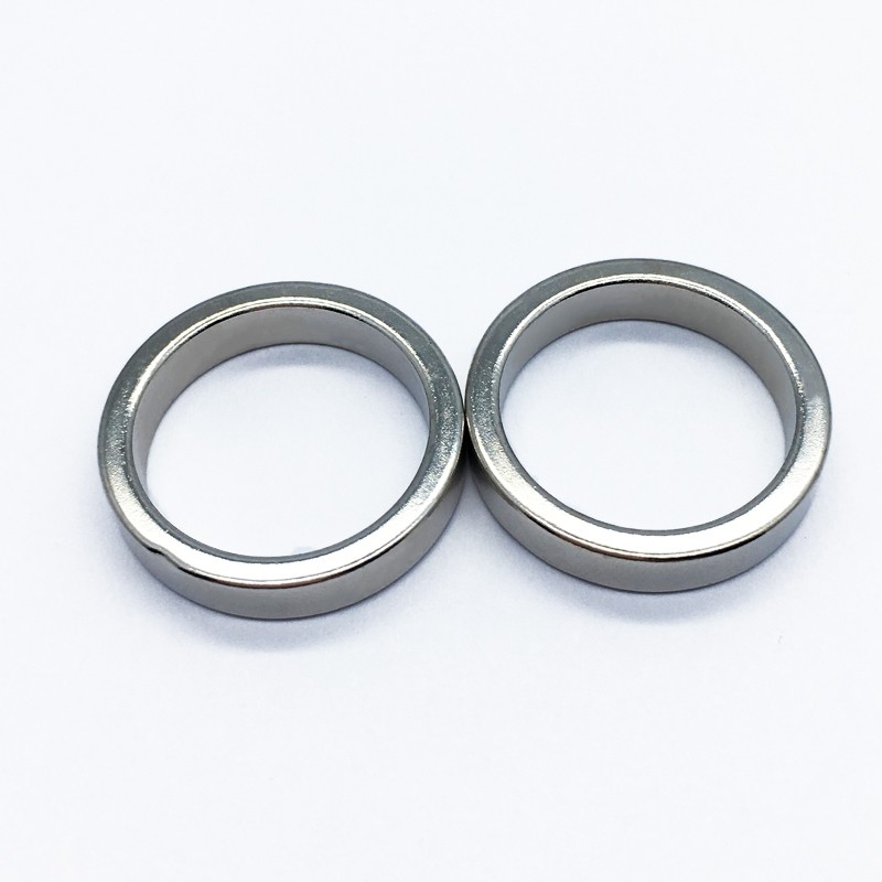 Sample Large Radial Magnetization Ring Neodymium Magnet N35-N52 for Industrial Magnet