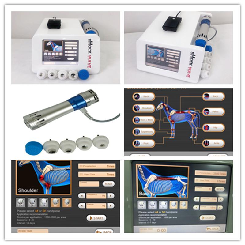 Veterinary Shockwave Therapy Machine For Racing Horse
