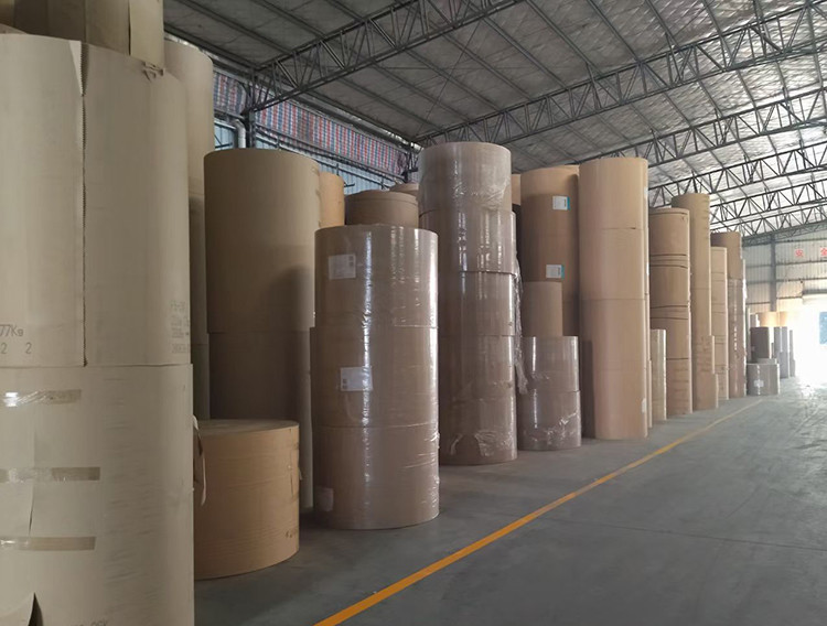 150GSM-350GSM Die Cut PLA Coated Paper Roll Water Resistant