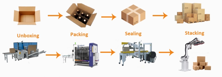 Fully Automatic Vertical Carton Erector Machine For Packaging Line