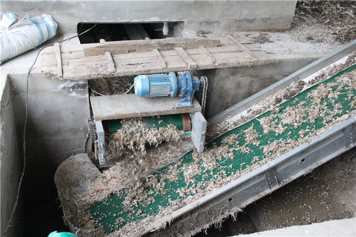 H Type Automatic Manure Removal System High Performance For Chicken Farm