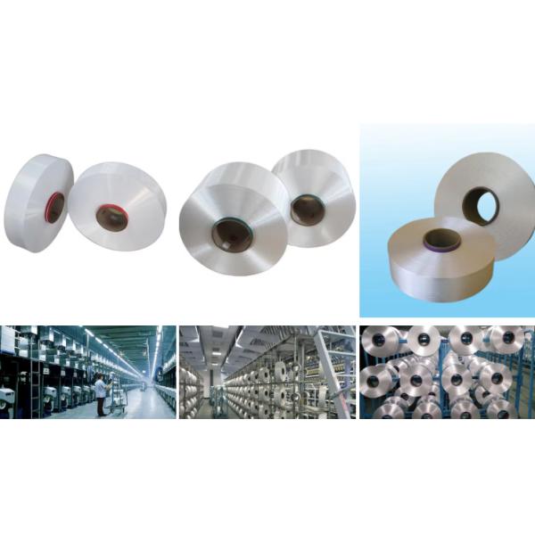 Customized Color Nylon Staple Fiber PA6 for Spinning with Rot Seawater Proof and Tear Resistance