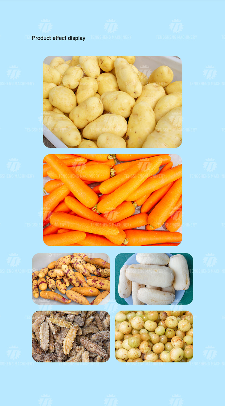 180KG Manufacturers R & D large, medium and small brush cleaning machine automatic sea cucumber cleaning machine