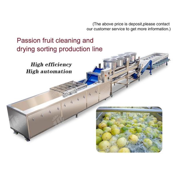 Passion fruit cleaning and drying sorting production line Fruit Vegetable FOOD processing production Machine