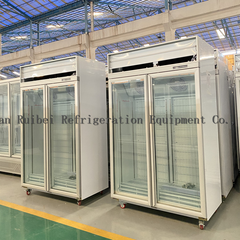 Commercial Refrigerator Double Glass Door Display Freezer With AD Board