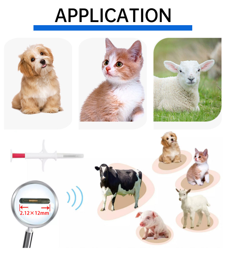 Injectable Transponders Pet Identification Microchip Implant For Dogs With ICAR Certificate Microchip For Dogs
