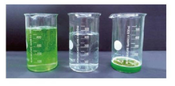 Heat Pump Low Temperature Vacuum Distillation Waste Liquid Zero Discharge Evaporator Industrial Waste Water Evaporator